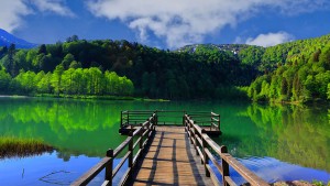 Artvin Borçka Karagöl ve Ayder Double Tur